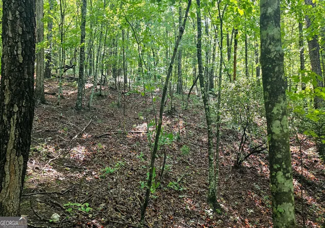 3rd image of 0 Cornsilk, Tiger, GA 30576 | MLS# 10794735