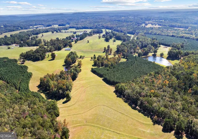 Photo 3 of Single family home for sale at 5225 Chalybeate Springs Rd, Woodland, GA 31836 | MLS# 10634409 | Listing updated on 2026-05-19