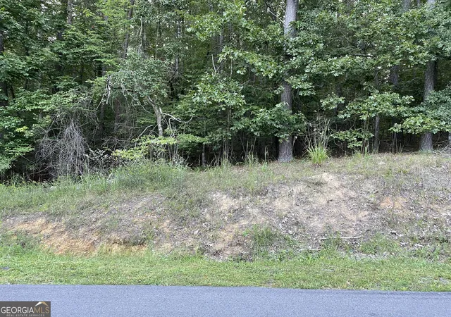 1st image of 0 Rockmart Rd Se, Silver Creek, GA 30173 | MLS# 10807857