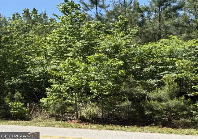 Homes for sale in Greenville, GA | 10 Acres Woodbury Hwy, Greenville, GA 30222 | MLS# 10757446