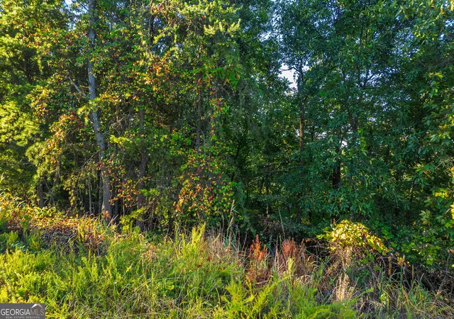 Photo 2 of Land for sale at 248 Stirratt Rd, Ranger, GA 30734 | MLS# 10616222 | Listing updated on 2025-10-02