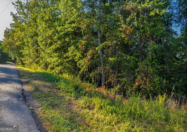 Photo 3 of Land for sale at 248 Stirratt Rd, Ranger, GA 30734 | MLS# 10616222 | Listing updated on 2025-10-02