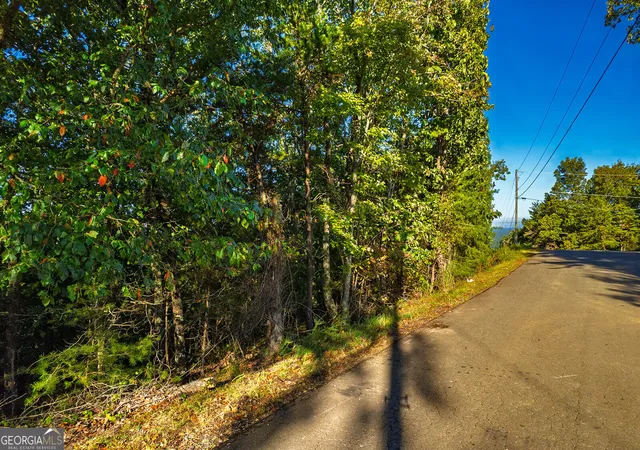 Photo 3 of Land for sale at 248 Stirratt Rd, Ranger, GA 30734 | MLS# 10616222 | Listing updated on 2025-10-02