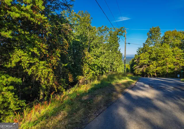 Photo 4 of Land for sale at 248 Stirratt Rd, Ranger, GA 30734 | MLS# 10616222 | Listing updated on 2025-10-02