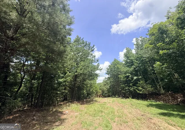 Homes for sale in Elberton, GA | 2787 Cedar Creek Rd, Elberton, GA 30635 | MLS# 10787962