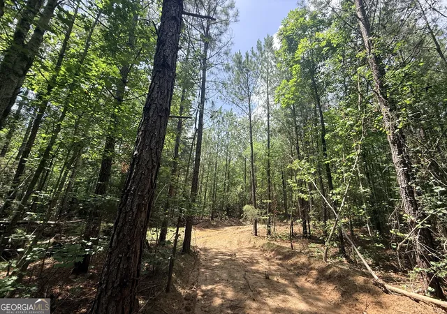 Homes for sale in Elberton, GA | 2787 Cedar Creek Rd, Elberton, GA 30635 | MLS# 10787962