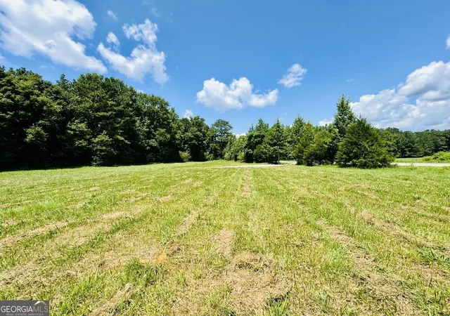 2nd image of 0 Willowood Road, Lagrange, GA 30241 | MLS# 10801026