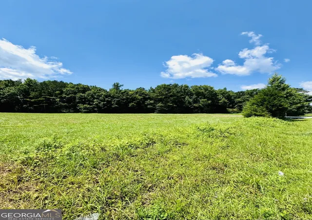3rd image of 0 Willowood Road, Lagrange, GA 30241 | MLS# 10801026