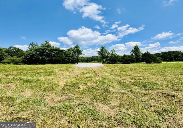 4th image of 0 Willowood Road, Lagrange, GA 30241 | MLS# 10801026