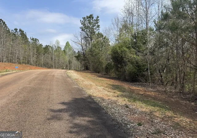 Homes for sale in Lanett, AL | Lot 23 13th Cou 13th Court, Lanett, AL 36863 | MLS# 10693829