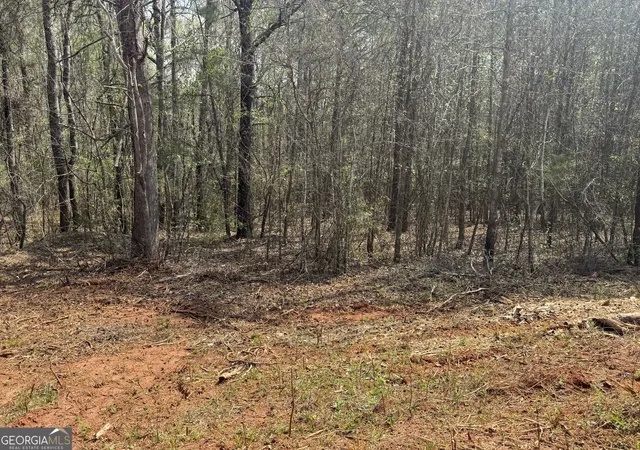 Homes for sale in Lanett, AL | Lot 23 13Th Cou 13Th Court, Lanett, AL 36863 | MLS# 10693829