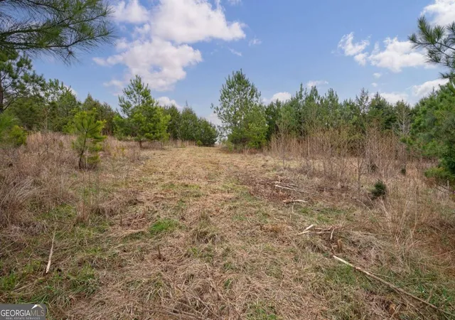 Photo 2 of Land for sale at Tract 1-a High Shls Rd, Bishop, GA 30621 | MLS# 10760866 | Listing updated on 2026-06-11