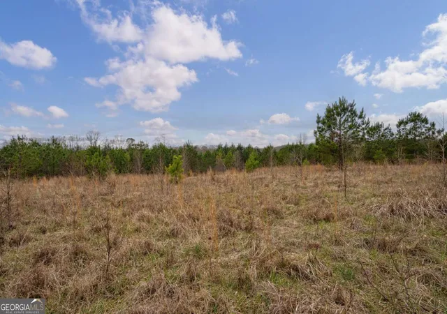 Photo 3 of Land for sale at Tract 1-a High Shls Rd, Bishop, GA 30621 | MLS# 10760866 | Listing updated on 2026-06-11