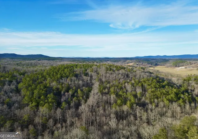 16th image of #9 Bethany Rd, Jasper, GA 30143 | MLS# 10713898