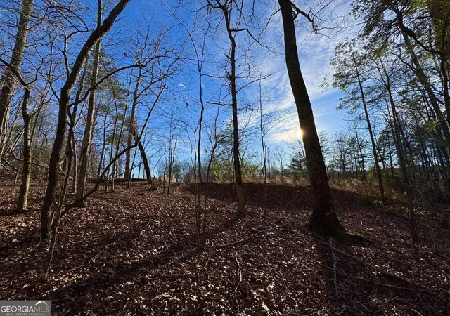 Photo 4 of Land for sale at #9 Bethany Rd, Jasper, GA 30143 | MLS# 10713898 | Listing updated on 2026-08-22