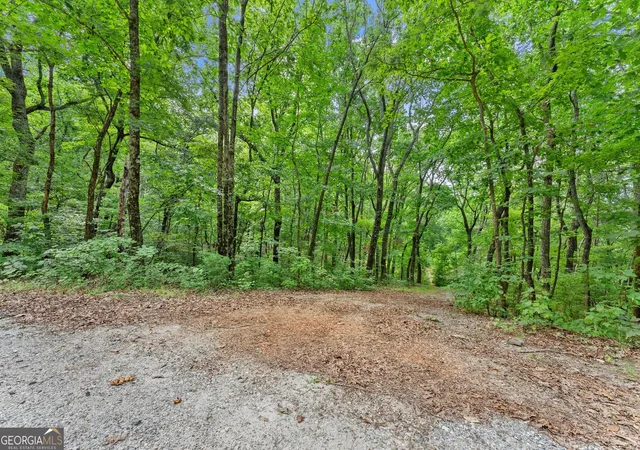 Homes for sale in Clermont, GA | 0 Wauka Ridge Road, Clermont, GA 30527 | MLS# 10798125