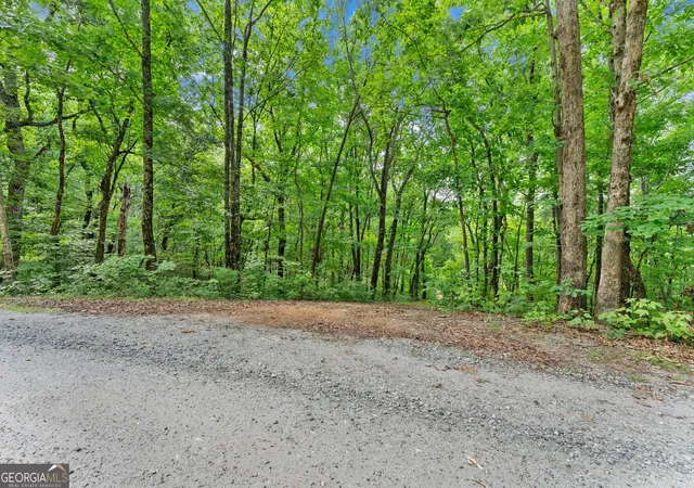 Photo 3 of Land for sale at 0 Wauka Ridge Rd, Clermont, GA 30527 | MLS# 10798125 | Listing updated on 2026-09-14