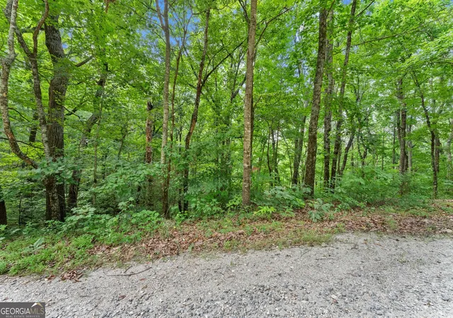Photo 3 of Land for sale at 0 Wauka Ridge Rd, Clermont, GA 30527 | MLS# 10798125 | Listing updated on 2026-09-14