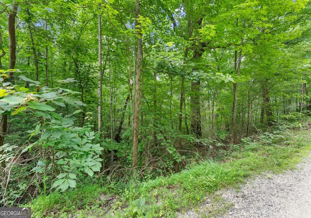 Photo 4 of Land for sale at 0 Wauka Ridge Rd, Clermont, GA 30527 | MLS# 10798125 | Listing updated on 2026-09-14