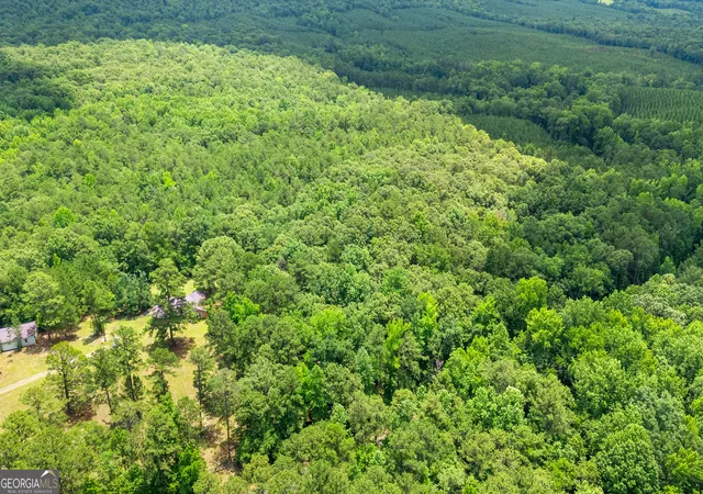 20th image of 0 Pleasant Valley Rd, Thomaston, GA 30286 | MLS# 10794981