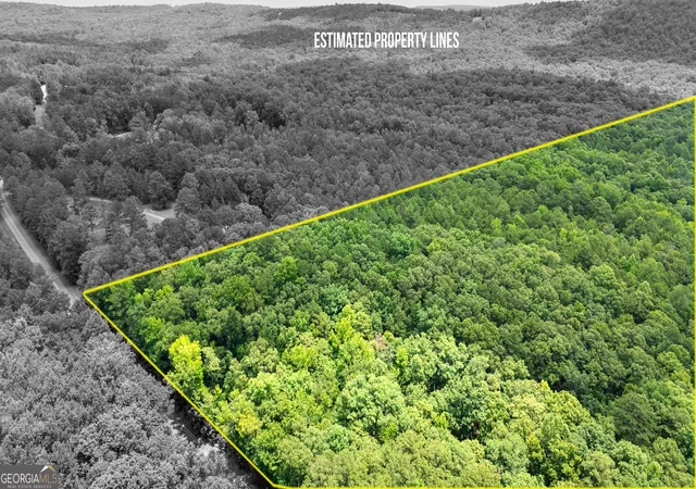 2nd image of 0 Pleasant Valley Rd, Thomaston, GA 30286 | MLS# 10794981