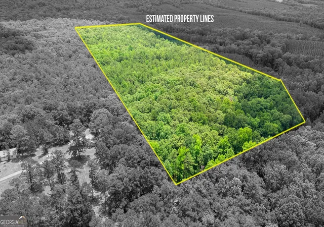 4th image of 0 Pleasant Valley Rd, Thomaston, GA 30286 | MLS# 10794981