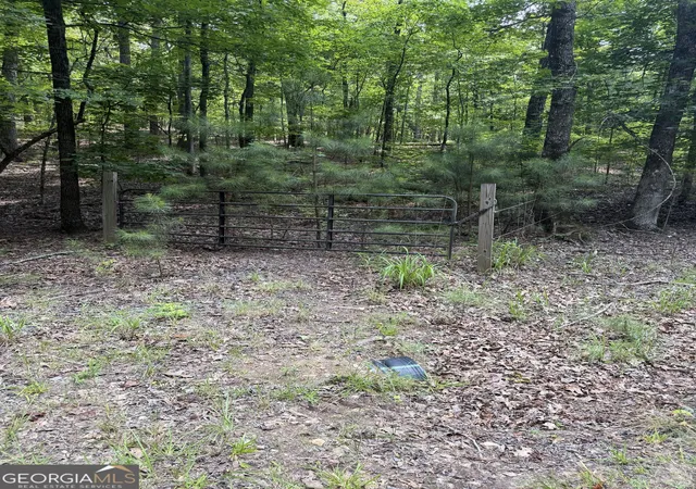 5th image of 0 Pleasant Valley Rd, Thomaston, GA 30286 | MLS# 10794981