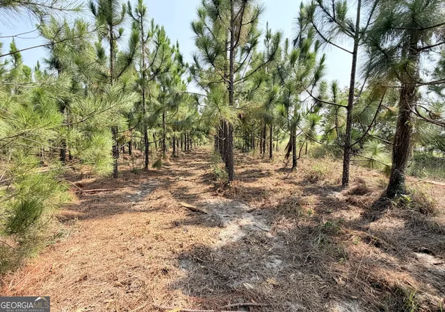 Photo 1 of Land for sale at 0 Erick Rd, Alamo, GA 30411 | MLS# 10817802 | Listing updated on 2026-08-17