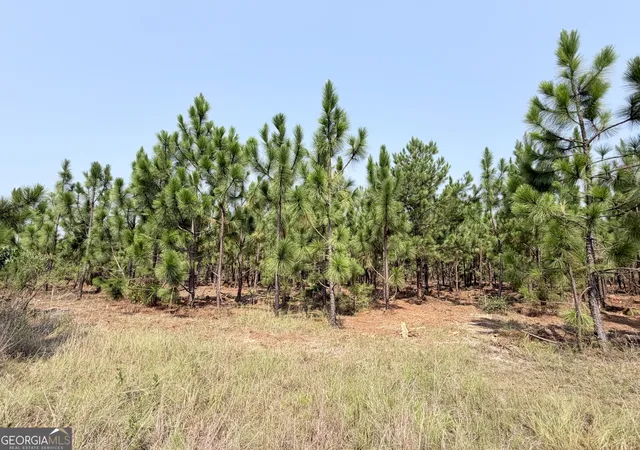Photo 2 of Land for sale at 0 Erick Rd, Alamo, GA 30411 | MLS# 10817802 | Listing updated on 2026-08-17