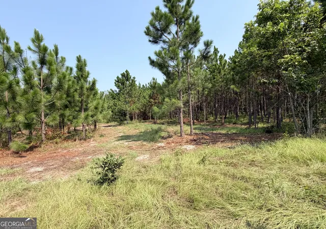 Photo 3 of Land for sale at 0 Erick Rd, Alamo, GA 30411 | MLS# 10817802 | Listing updated on 2026-08-17
