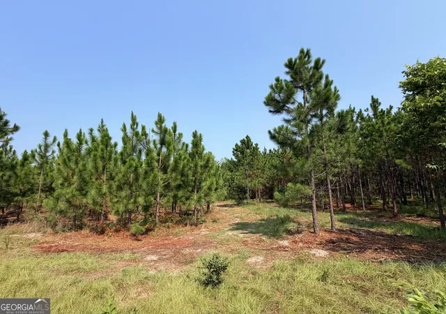 Photo 3 of Land for sale at 0 Erick Rd, Alamo, GA 30411 | MLS# 10817802 | Listing updated on 2026-08-17