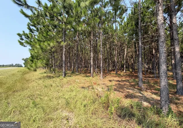 Photo 4 of Land for sale at 0 Erick Rd, Alamo, GA 30411 | MLS# 10817802 | Listing updated on 2026-08-17