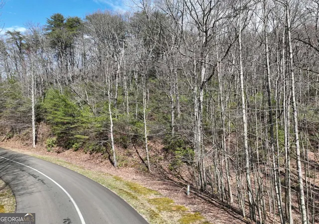 Photo 1 of Land for sale at 63 St Andrews Way, Ellijay, GA 30536 | MLS# 10786998 | Listing updated on 2026-10-27