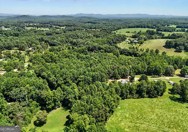 19th image of 422 Fair Valley Rd, Demorest, GA 30535 | MLS# 10816908
