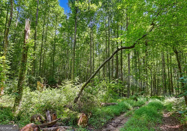Photo 3 of Land for sale at 422 Fair Valley Rd, Demorest, GA 30535 | MLS# 10816908 | Listing updated on 2026-09-11