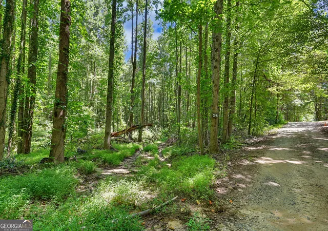 Photo 4 of Land for sale at 422 Fair Valley Rd, Demorest, GA 30535 | MLS# 10816908 | Listing updated on 2026-09-11