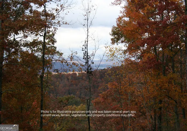 3rd image of #6 Pounding Mill Overlook, Hayesville, NC 28904 | MLS# 10762028