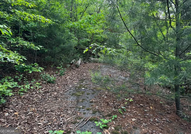 4th image of #6 Pounding Mill Overlook, Hayesville, NC 28904 | MLS# 10762028