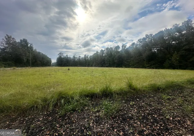 Photo 1 of Land for sale at 0 Lowground Rd, Guyton, GA 31312 | MLS# 10630626 | Listing updated on 2025-11-06