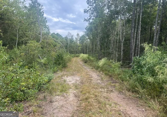 Photo 2 of Land for sale at 0 Lowground Rd, Guyton, GA 31312 | MLS# 10630626 | Listing updated on 2025-11-06