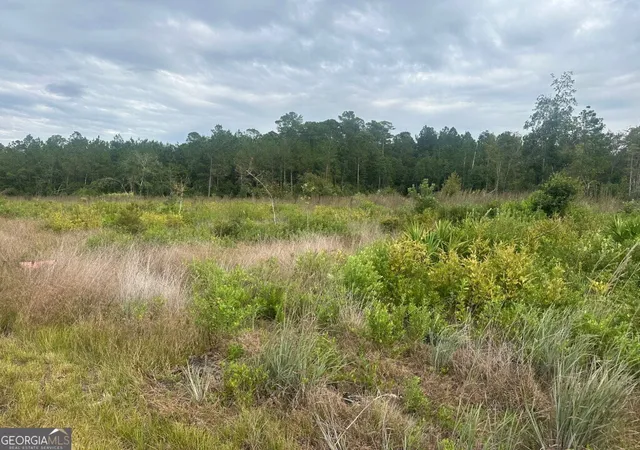 Photo 3 of Land for sale at 0 Lowground Rd, Guyton, GA 31312 | MLS# 10630626 | Listing updated on 2025-11-06