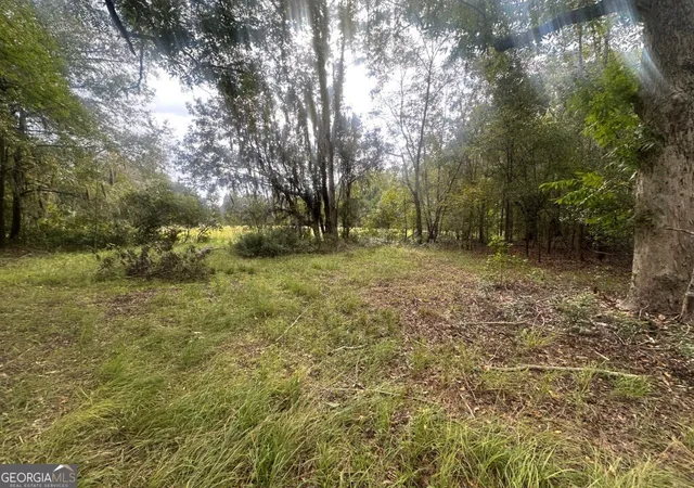 Photo 3 of Land for sale at 0 Lowground Rd, Guyton, GA 31312 | MLS# 10630626 | Listing updated on 2025-11-06