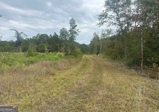 Photo 4 of Land for sale at 0 Lowground Rd, Guyton, GA 31312 | MLS# 10630626 | Listing updated on 2025-11-06