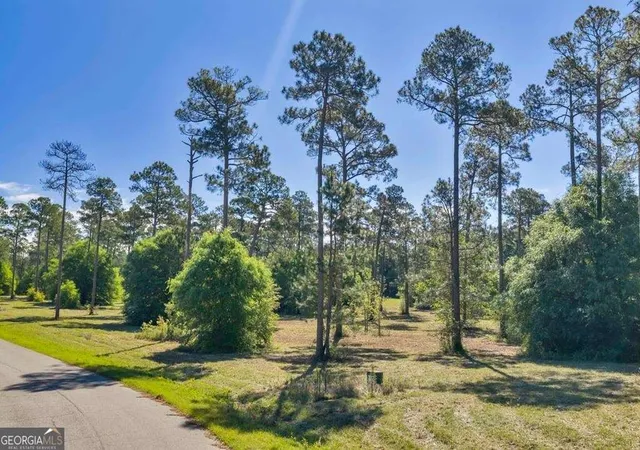 Photo 2 of Land for sale at 0 Swann Dr Lot 46 Block A #LOT 46 BLOCK A, Cordele, GA 31015 | MLS# 10728002 | Listing updated on 2026-09-08