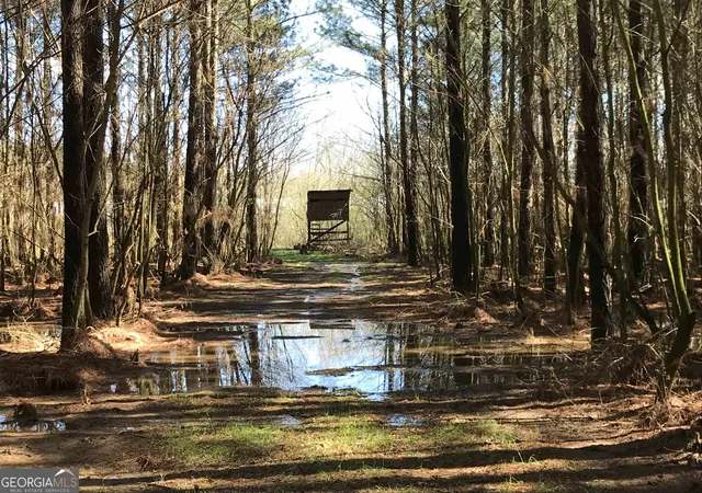 29th image of 0 Covington Bridge Rd #9619, Calhoun, GA 30701 | MLS# 10489637