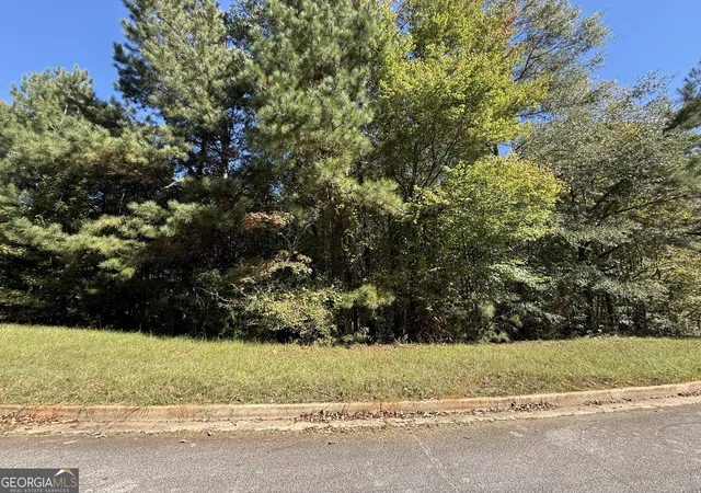 1st image of 1333 Nickel Oak Bnd, Mcdonough, GA 30252 | MLS# 10727181