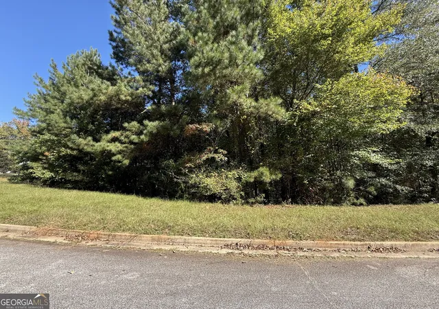 4th image of 1333 Nickel Oak Bnd, Mcdonough, GA 30252 | MLS# 10727181
