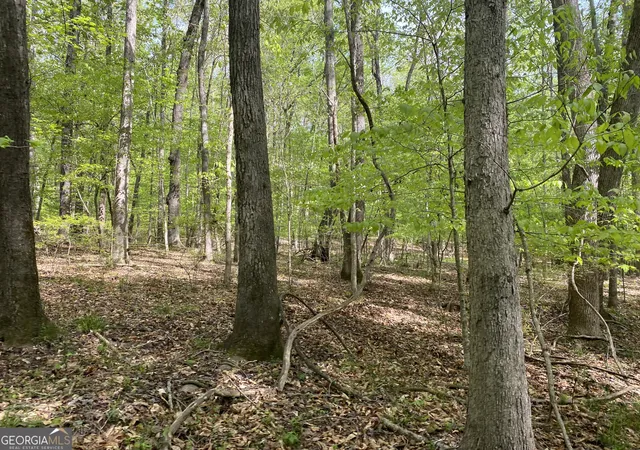 Photo 3 of Land for sale at 3 Curry Fls Trl, Athens, GA 30607 | MLS# 10758501 | Listing updated on 2026-09-16