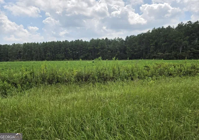 Photo 1 of Land for sale at 0 Roy And Blanche Hulett Rd #7, Fitzgerald, GA 31750 | MLS# 10831396 | Listing updated on 2026-09-06
