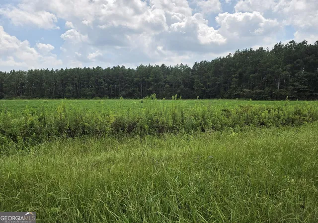 Photo 2 of Land for sale at 0 Roy And Blanche Hulett Rd #7, Fitzgerald, GA 31750 | MLS# 10831396 | Listing updated on 2026-09-06